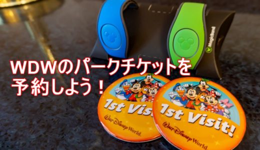 Wdw準備 3 Wdwでは直営ホテルに泊まるべき 周辺ホテルとの違いを比較 Anaマイルを貯めた猫